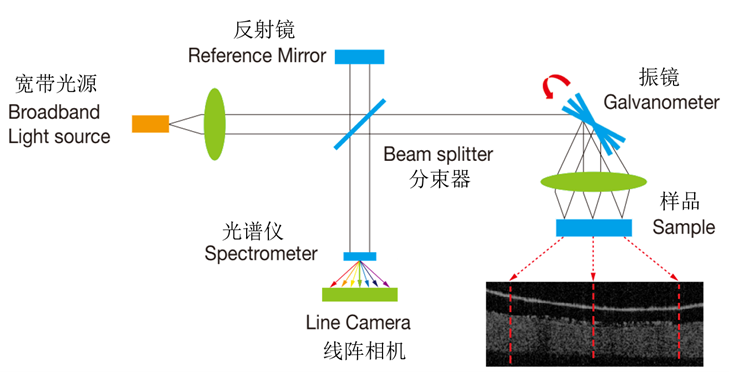 OCT顯微檢測儀